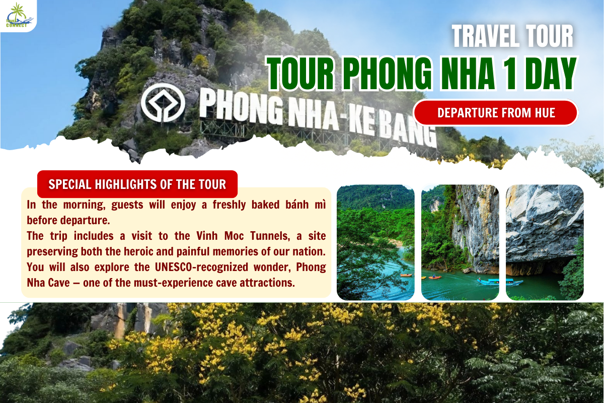 HISTORY MEETS WONDER: DMZ, VINH MOC & PHONG NHA CAVE